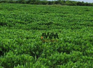 abc1f3a664d50184a0c60783bb12d25a84d54fa3 · Fazenda à venda, 5130400 m² por R$ 15.000.000,00 - Zona Rural - Silvanópolis/TO