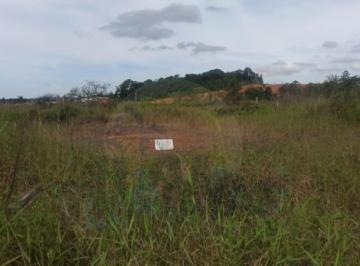 Foto 01 · Terreno, Itajuba, Barra Velha, SC