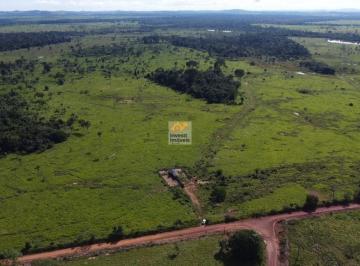 Foto 01 · SITIO 101,64Ha À VENDA EM ALVORADA D'OESTE / RO