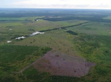 Rural , Santa Rita do Tocantins · Oportunidade única fazenda dupla aptidão em Santa Rita-To com  1.338 hectares 