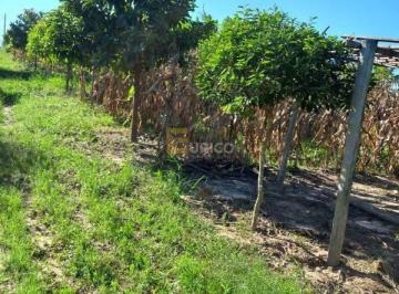 Terreno · 1257m² · Terreno à venda no Área Rural de Monte Mor em Monte Mor/SP