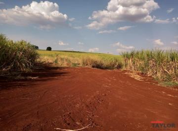 20230509093200651996.jpg · Fazenda para Venda em Morro Agudo, RURAL