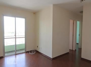 Apartamento · 64m² · 3 Quartos · 1 Vaga · Apartamento para Aluguel - Vila Nova Cachoeirinha, 3 Quartos, 64 m² - São Paulo