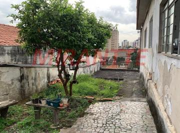 d9daa93e709fb4e844440da7e91861d6.jpg · Terreno de 120m²