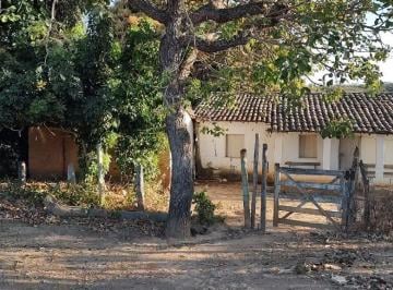 Rural , Grão Mogol · Fazenda 190 hectares em Grão Mongol/MG