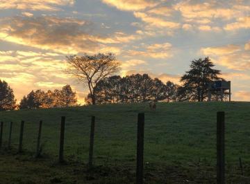 Rural de 5 quartos, Campo Largo · CHACARA CAMPO LARGO - UMA JOIA OPORTUNIDADE UNICA -JUNTO A REPRESA DA PETROBRAS