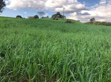 Rural de 5 quartos, Campo Largo · CHACARA CAMPO LARGO - UMA JOIA OPORTUNIDADE UNICA -JUNTO A REPRESA DA PETROBRAS