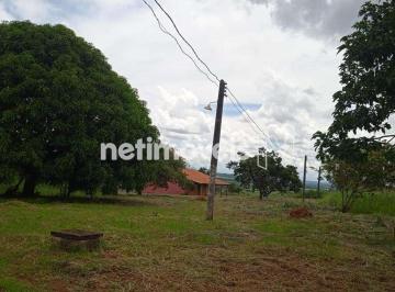 d3f0cd10-7-f3d55d6f-726a-4309-923a-cd7787cfcf2a.jpg · Rurais à venda - na Zona Rural