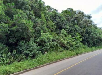 4ee0b5152fc2a61ca7580ae03854481d9e4a68ea · Terreno à venda, 1200 m² por R$ 750.000,00 - Alpes Verdes - Canela/RS