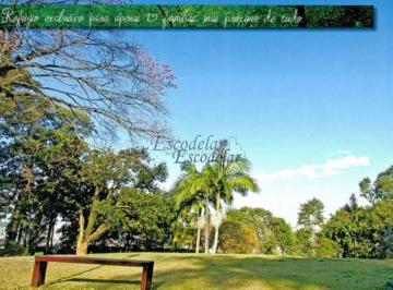 d815960500fe35ec3979bb6266a99970f0014161 · Terreno à venda, 500 m² por R$ 2.000.000,00 - Vila Irmãos Arnoni - São Paulo/SP
