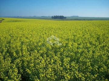 308403_i929bC526z7_3084036424425c6a7fc.jpg · Fazenda em Butiá no RS com 1000 ha