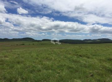 307942_ia97G52SqM9x4x3_307942641dfd960df21.jpg · Fazenda à venda em Triunfo no RS com 850 ha