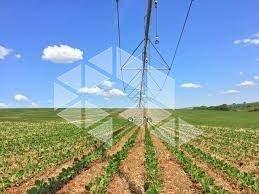 308644_i0494L89JAu028Hw0sR_30864464271d48ba2e0.jpg · Fazenda à venda e Cruz Alta
