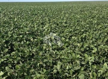 308638_iyF3t3Hs807Z2y_3086386425e72830ba3.jpg · Fazenda em São Gabriel no RS