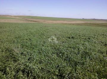 307455_ip49R1a_307455641b4771e5717.jpg · Fazenda à venda em Dom Pedrito no RS
