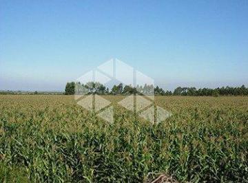 304625_i19H855327JWCvD_30462563fe4fed6d561.jpg · Fazenda à venda em Pantano Grande no RS