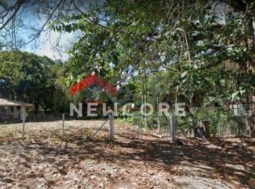 Terreno · 6000m² · Lote em Avenida Albino José Barbosa de Oliveira - Jardim Afife - Campinas/SP