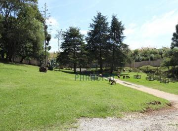 33bfad58f7a98d3a90708436865c79b85fc27fa6 · Chácara com 4 dormitórios à venda, 12000 m² por R$ 4.100.000,00 - Santa Felicidade - Curitiba/PR