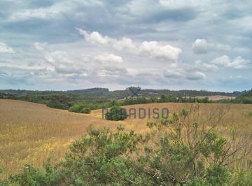 2c3a31183008f47c9dc23730616c0007b09bd48f · Terreno à venda, 158769 m² por R$ 18.661.394,00 - Centro - Mandirituba/PR