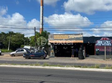 37C250CB-2EB1-44AB-A45D-C67D7E133337.jpeg · Terreno, 342.6 m², em Maria Regina