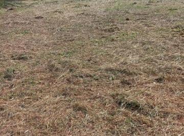 iOg2x990m7y_3603646500447169b_jAyYTlhMTkxZmQ0_o.jpg · Lote / Terreno à venda em Matozinhos, no bairro Bouganvilles Ii