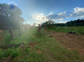 Rural · 100ha · 3 Quartos · Fazenda próximo a Jaci com 30ha de pasto formado