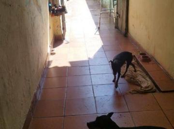 296f1f5a55230104c41867c65a949fbe3fd55b42 · IMPERDIVEL PARA QUEM QUER TER UMA RENDA SÃO 2 CASAS NO MESMO TERRENO