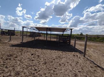 ieL554_3354646b81775fba6_TM2YzcyNGU0ZWU2_o.jpg · Fazenda / Sítios / Chácaras com 2 quartos à venda em Santa Fé De Minas, no bairro Zona Rural