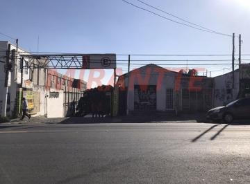 4d472f203011ecc437ddd341ff867e78.jpg · Terreno de 1000m²