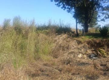 Foto 01 · Terreno - Setor Habitacional Tororó (Jardim Botânico)