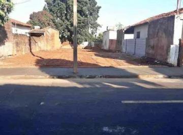 Foto 01 · Terreno - Jardim Bela Vista