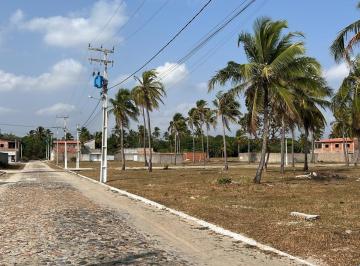 Terreno , Paracuru · LOTES EM PARACURU-CE- LOTEAMENTO SITIO COQUEIROS