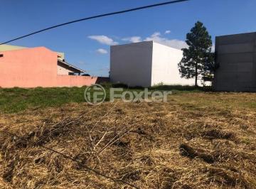 3.jpeg · Terreno, 300 m², em COHAB