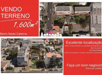 25395742_g.jpg · Imoveis - em Santa Catarina
