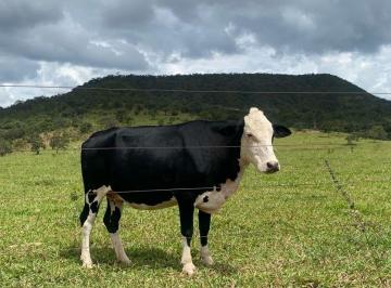 Rural , Alexânia · Alexânia/GO -  Próx. a Brasília e Goiânia - 542ha - Frente para BR-060