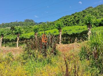 Rural · ÁREA RURAL COM PRODUÇÃO DE UVA - COTIPORÃ