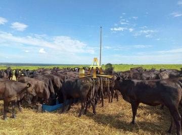 18b0fcc27368933c0458d5a0e11b9e0cbcf98728 · Fazenda para Venda na Região de Bela Vista - MS