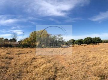 Rural de 4 quartos, Sobradinho · Ótima chácara de 16 hectares na beira do asfalto