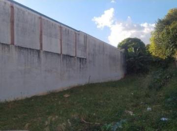 Foto 01 · Terreno, São Francisco, Catanduva, SP