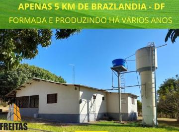 2023/05/9f9c0c750c722a9a249863e1bfd5de23.jpg · Chácara venda 18 hectares formada produzindo só 5 km  Brazlandia dupla aptidão