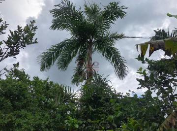 9244379900.jpg · [Venda] – Chácara – Jardim Refúgio, Ivatuba/PR – Propriedade com área de 1.320m²