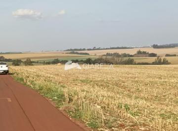 Rural · 20166m² · Chácara ótima para investimento à venda, ZONA RURAL, TOLEDO - PR