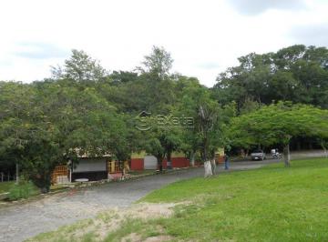 img0 · Sitio para venda em Aparecidinha
