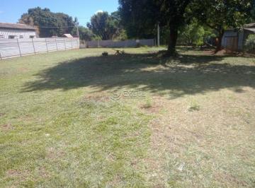 img0 · Terreno 1000 metros plano