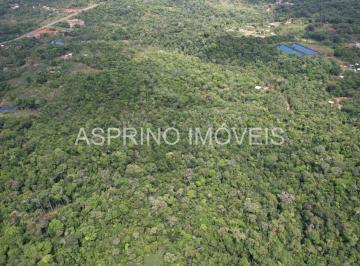 2024021315195822.jpg · Lotes à Venda em Serra Grande | 20.000m² no Vila Natureza