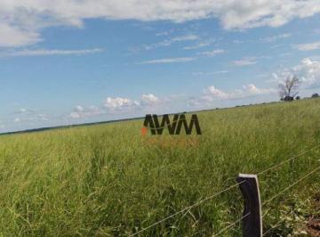 c895a843c4fe7d1589c83f4af00a6aeba566851a · Fazenda à venda, 38329412 m² por R$ 43.560.000,00 - Zona Rural - Monte do Carmo/TO