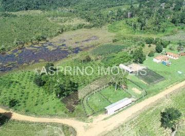 202409091122282319.jpeg · Fazenda para Venda em Itacaré, Barrocão, 3 dormitórios, 3 banheiros