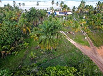 202510171553251208.jpg · Terrenos na Praia Ponta do Ramo: Lotes de 812m² a 1.000m² Perto do Mar
