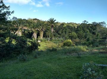202409091329546609.jpg · Fazenda de Cacau com 23 ha perto da BA-262