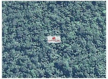 ae28a4c220b51d81ef0720635cfe8b37.jpg · Fazenda com 3278 hectares, terra bruta